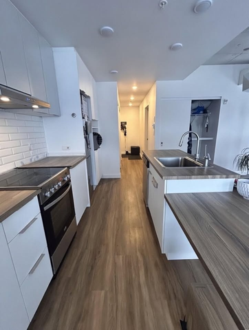 TOUT INCLUS - Chien/chat accepté - Vieux-Rosemont - Photo 2