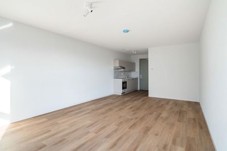 Lise Meitnerhof 397, Leeuwenhoek, 2333DL, Leiden - Foto 4