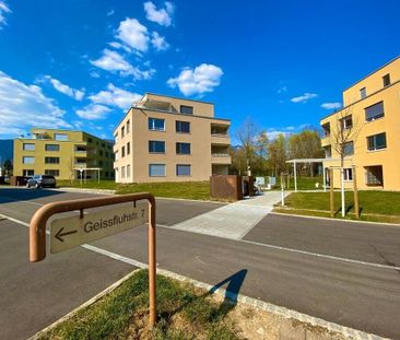 Mühlegut 1. Modern. Patio. = Your new home - Photo 3