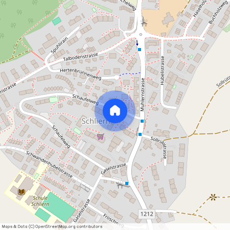 Schaufelweg 9, 3098 Schliern b. Köniz