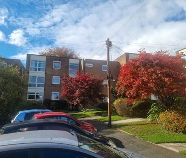 1 bedroom flat to rent - Photo 6