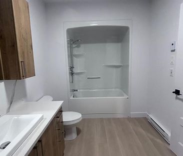 430 Boul. du Bord de l'Eau - Photo 4