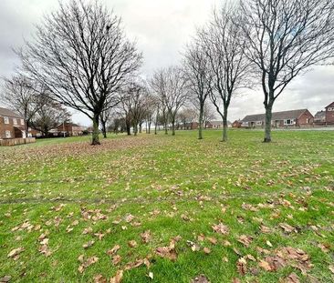 Hillside View, Sherburn Village, Durham, DH6 - Photo 3