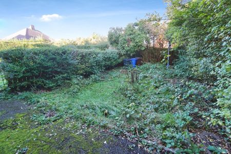 2 bedroom House To Let - Photo 4