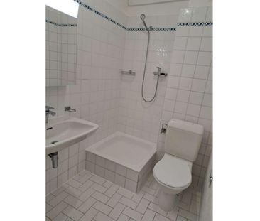 Appartement de 2 pièces au 5ème en face du Parc la Grange - Foto 2