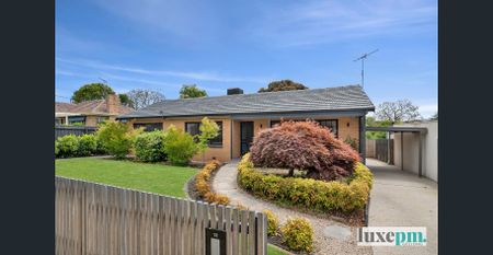 Don't miss this one! | Lawn Mowing Included - Photo 2