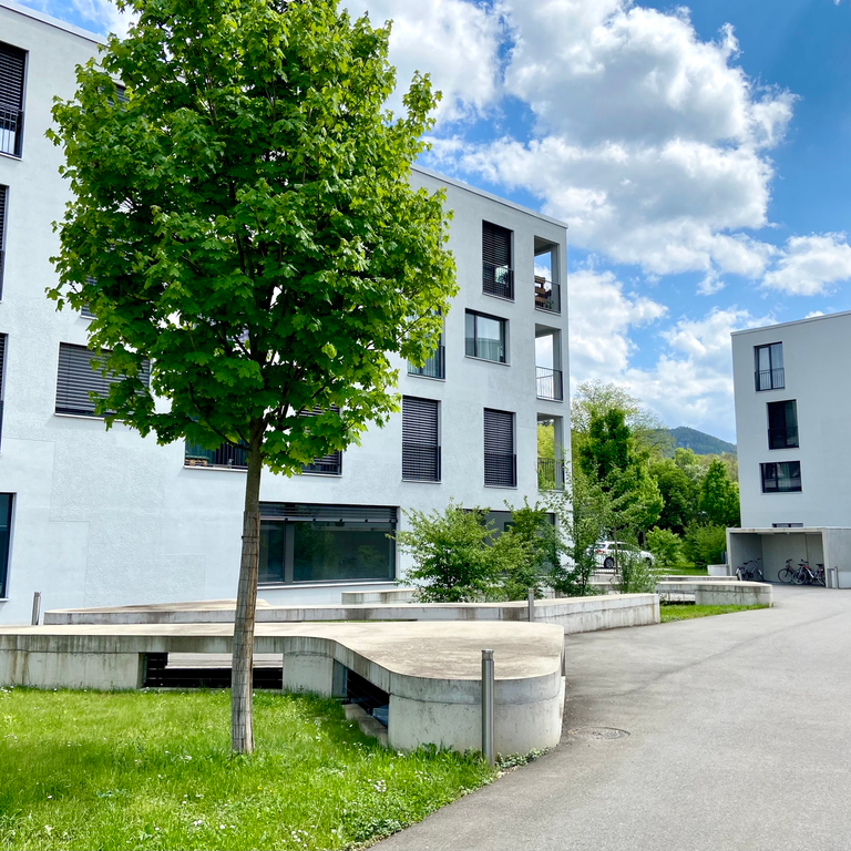 MINERGIEWOHNUNG NÄHE BAHNHOF AESCH BL - Foto 1