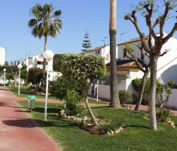 Pilar De La Horadada - Foto 1