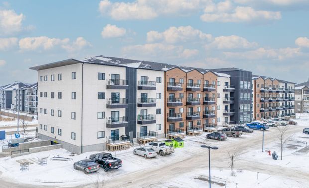 Pine: White Cabinets – 225 Peguis, Winnipeg, MB - Photo 1