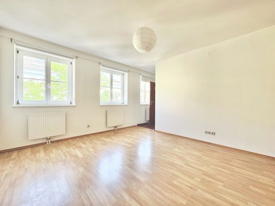 THIMIGGASSE | HELLE SINGLEWOHNUNG | OPTIMALE RAUMAUFTEILUNG | TOPLAGE - Foto 1