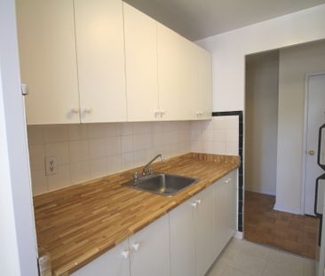 Lu Ray Apartments — 1 Bedroom - Photo 6