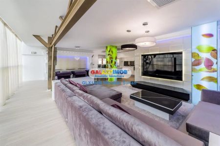 TRIPLEX /PENTHOUSE SPECTACULOS NORDULUI / PARC HERASTRAU - Fotografie 5