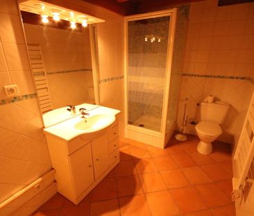 Location Appartement 1 pièce 25m² CHAMPAGNE AU MONT D OR 69410 - Photo 3