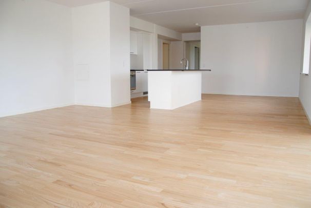 Møgelparken - Foto 1