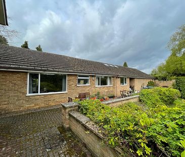 1 bed Bungalow - To Let - Photo 6