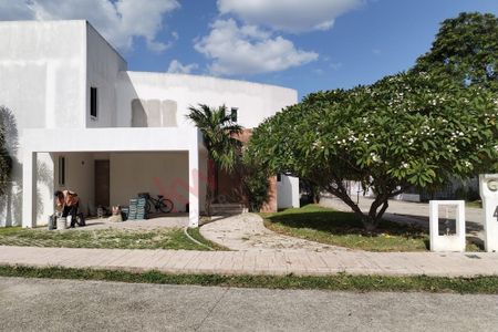 Yucatán, 69, Mérida - Photo 4