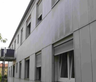Mietwohnung in Kitzingen - Einfach sehenswert - kleine Wohnung mit ... - Photo 1