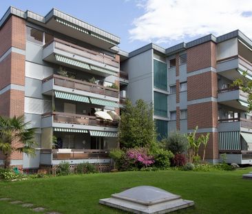 ASCONA, EINZIMMERWOHNUNG ZU VERMIETEN - Foto 5