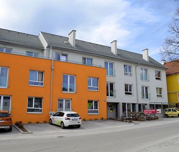 barrierefreie Wohnung in Kottes - Foto 4