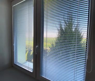 NABÍDKA PRONÁJMU CIHLOVÉHO BYTU 2+KK VE ŠLAPANICÍCH U BRNA - Photo 1