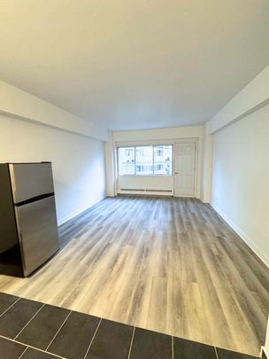 Great Studio – 175 Sherbrooke O - Photo 1