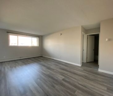 Darren Manor - Photo 5