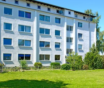 Renovierte 3-Zimmer-Wohnung in Ahlen mit neuen Laminatboden - Photo 1