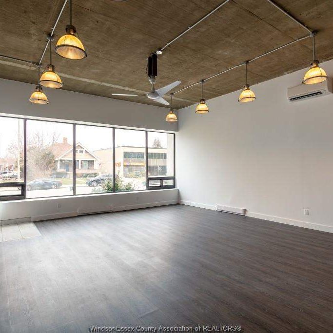 Executive Loft - Photo 1