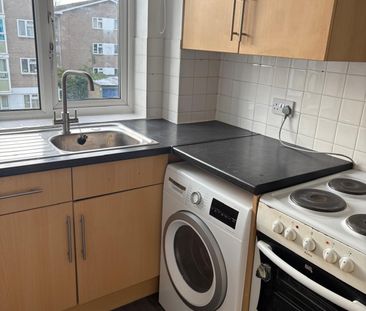 2 bed Apartment - To Let - Photo 6
