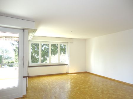 3.5 Zimmerwohnung in Oberengstringen - Photo 4