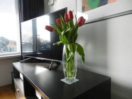 Te huur: Appartement Saltholm 33 in Hoofddorp - Foto 2