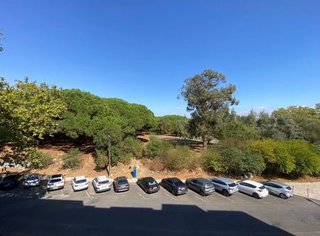 Lisboa, Lisbon - Photo 2