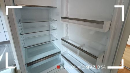 Breganzona 2 locali - 1P - Photo 4