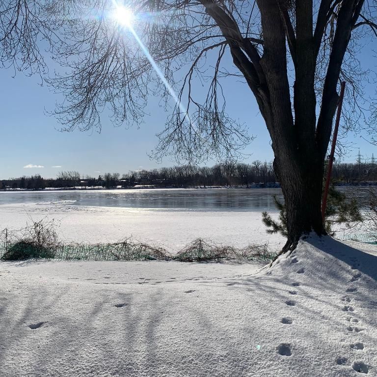 Maison bord de l'eau, superbe vue à Laval, 2 minutes des ponts Mtl - Photo 1