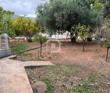Μονοκατοικία 52 τ.μ. προς ενοικίαση - Photo 4
