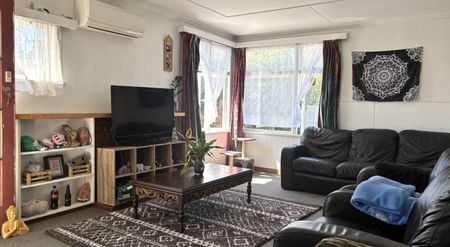 Tidy 2-Bedroom Home Close to Masterton CBD - Photo 3