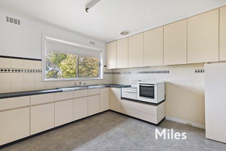 29 Charteris Drive, Ivanhoe East - Photo 4