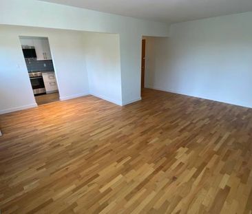 Large 2 Bedroom Unit - Newly Renovated - Photo 1