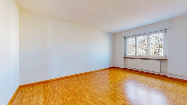 3 Zimmer, 63 m², EG - Photo 1