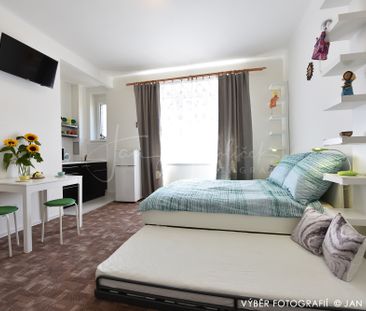 Apartment for rent, 1+KK - Studio, 30m - Photo 4