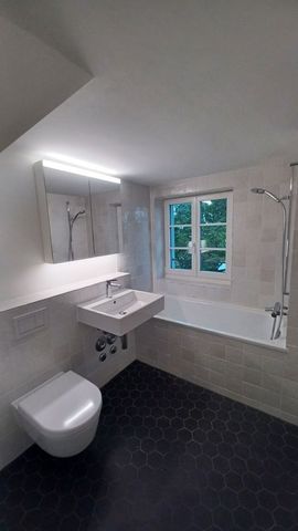 Erstvermietung - Maisonette-Wohnung mit eigenem Waschturm - Photo 4