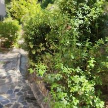 Studio/Γκαρσονιέρα για ενοικίαση - Κάλαμος, - Photo 1