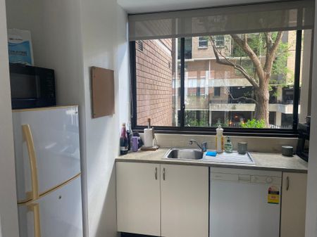 Centennial Park - Photo 4