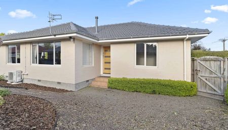 43 Daniels Road, Redwood. - Photo 5