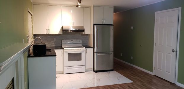 $1,900 / 2br – 846ft2 – Conveniently located 2-bedroom LOWER-level home (QY12) (Burnaby) - Photo 1