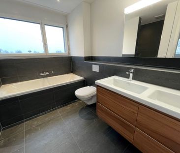 Wohnpark "untere Grüneck" in 8555 Müllheim - Foto 5