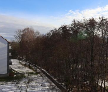 Wohnlich, ledig, jung sucht... Mieter für trendige ZWEIRAUM- Wohnung - Foto 5