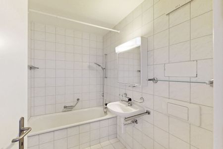 Living on the Rhine River - Photo 5