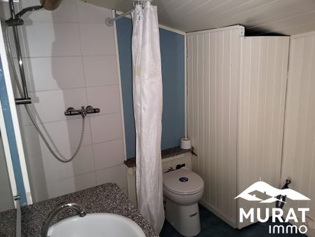 Location Appartement 4 pièces 56m² ST AMANT TALLENDE 63450 - Photo 5
