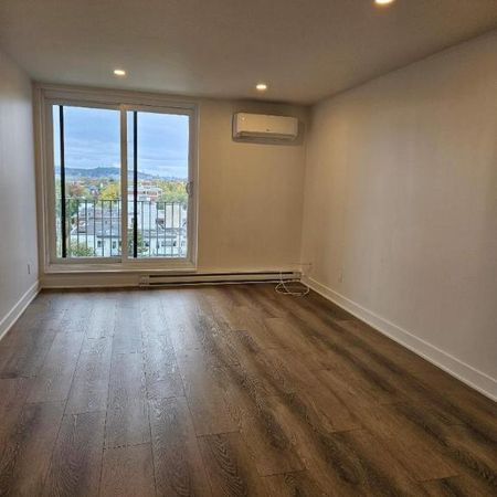 1 CH - 1 SDB - Montréal - $1,545 /mo - Photo 3